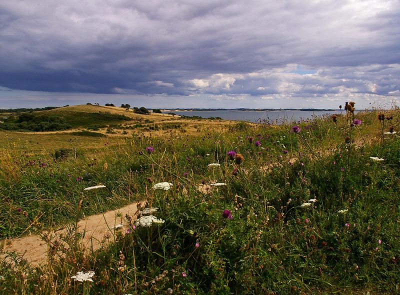 Fietsvakantie op het eiland Funen-Denemarken